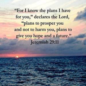 Meet your Posher, Tasha